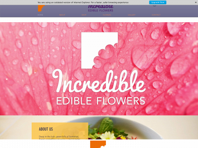 incredible-edibleflowers.co.uk snapshot