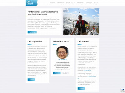 carltullusminnesfond.se snapshot