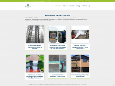 professionalgroup.lt snapshot