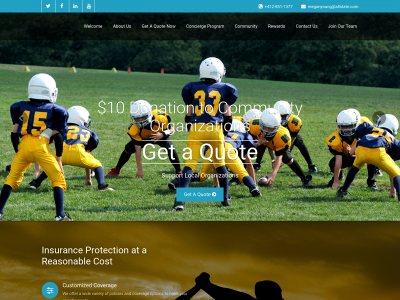 youngassetprotection.com snapshot