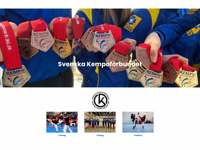swekempo.com snapshot