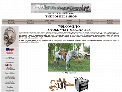 possibleshop.com snapshot