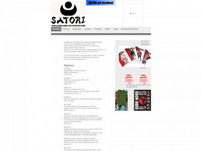 satori.se snapshot
