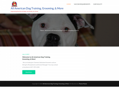 allamericandogtraining.com snapshot