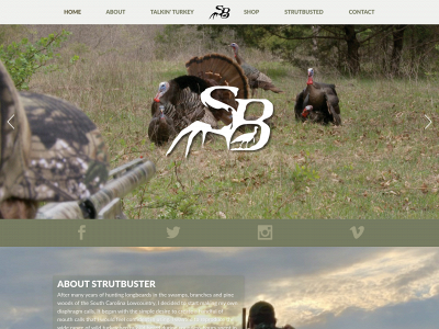 strutbuster.com snapshot