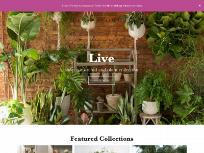 elanflowers.com snapshot