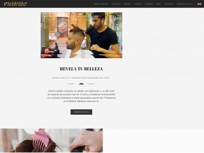 cenithteranpeluqueriaybarberia.es snapshot