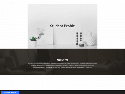 madisonskinesiologyportfolio.weebly.com snapshot