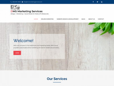 dmsmarketingservices.com snapshot