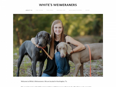 www.whitesweimaraners.com snapshot