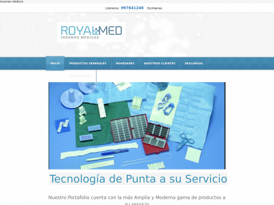 royalmed.cl snapshot