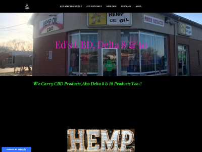cooolcat.weebly.com snapshot