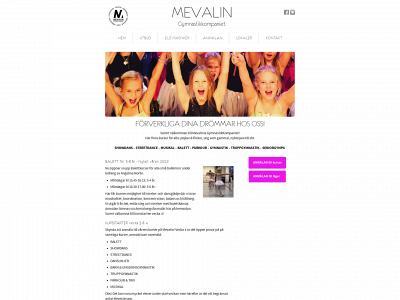 mevalin.se snapshot