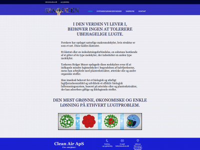 sinodeen.dk snapshot