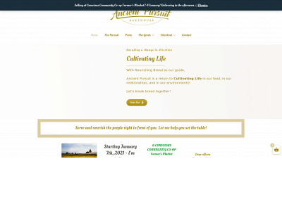 ancientpursuit.com snapshot