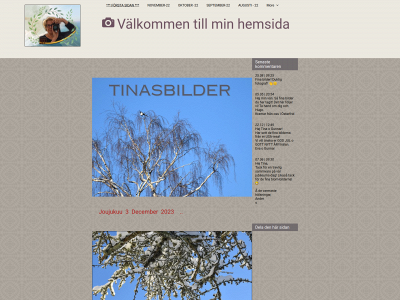 tinasbilder.se snapshot