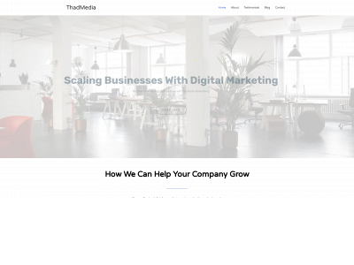 thadmedia.com snapshot