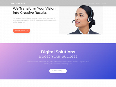 translinkbpo.com snapshot