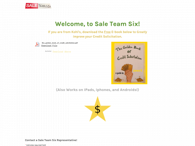 saleteamsix.weebly.com snapshot