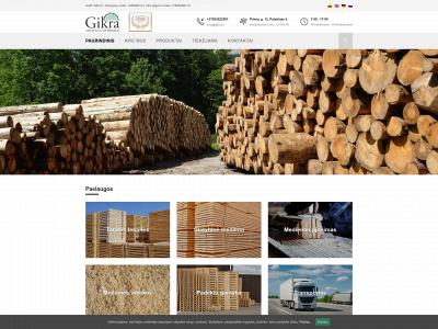 gikra.lt snapshot