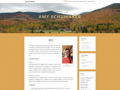 amyrschumaker.com snapshot