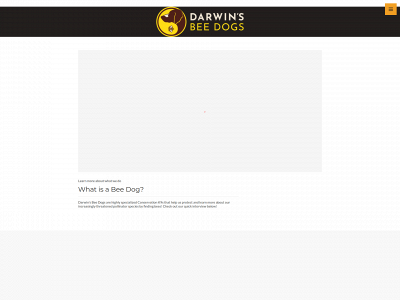 darwinthebeedog.com snapshot
