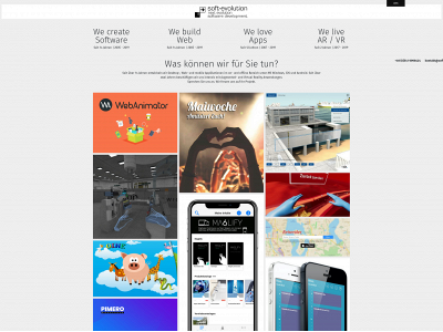 soft-evolution.com snapshot