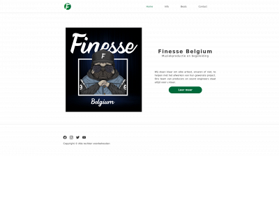 finessebelgium.be snapshot