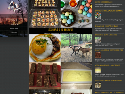 squire6.com snapshot