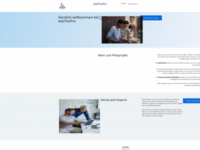 askthepro.online snapshot
