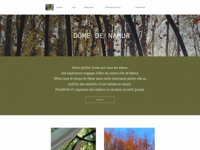domedenamur.be snapshot