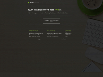 modernpatina.com snapshot
