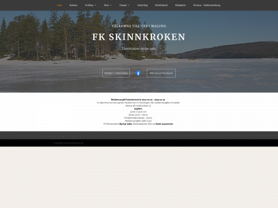 skinnkroken.se snapshot