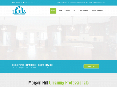 www.terracleaning.net snapshot