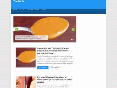 topsante.info snapshot