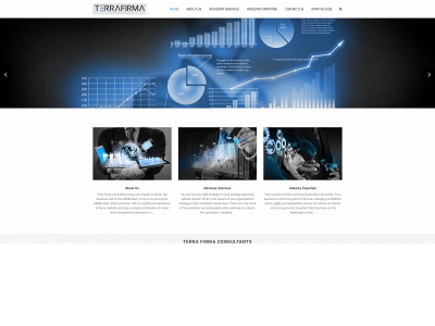 tfcgulf.com snapshot