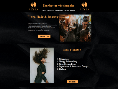 plaza-hairbeauty.se snapshot