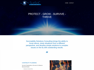 survivabilitysolutionsconsulting.com snapshot