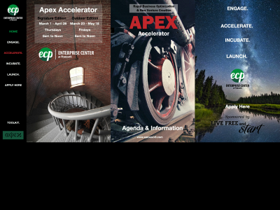 apexaxlr8.com snapshot