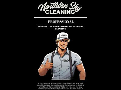 northernskycleaning.com snapshot