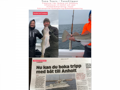 tunatours.se snapshot
