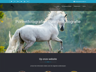 spaanse-arabier.nl snapshot