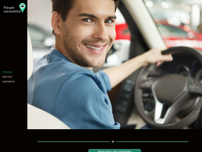 patogusauto.lt snapshot