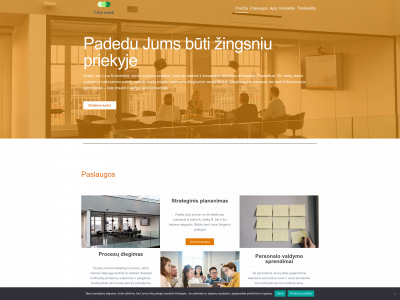 efektyvikomanda.lt snapshot