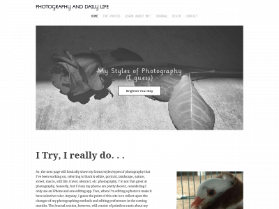 vintagephoton8.weebly.com snapshot