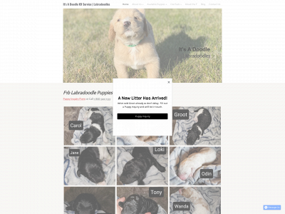 www.itsadoodlek9service.com snapshot