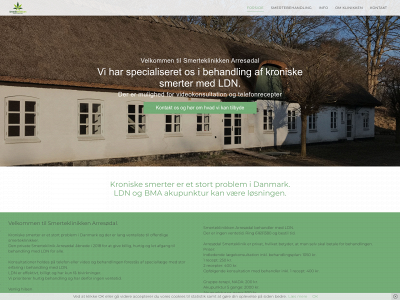smerteklinikken.com snapshot