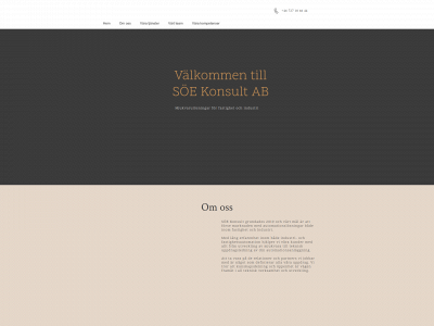 soekonsult.se snapshot