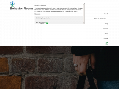 behaviorresourcesforteachers.com snapshot