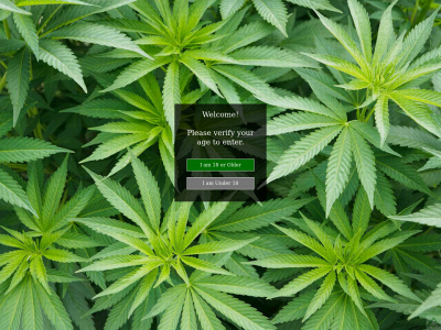 whiteleafhealth.com snapshot